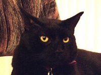 Luxor